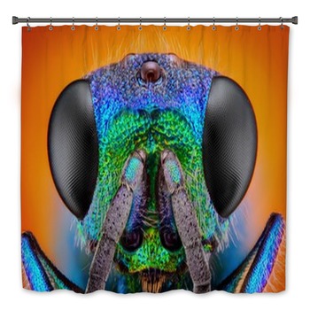 Insect Bath Decor