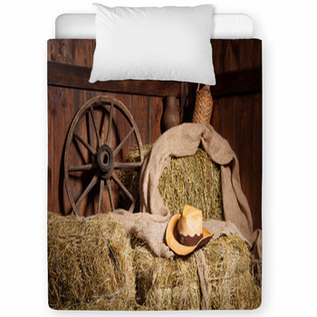 Interior Of A Rural Farm - Hay, Toddler Comforter