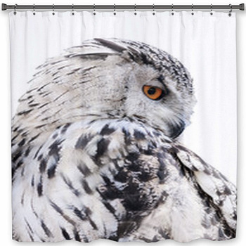 Isolated Black And White Owl Custom Size Shower Curtain