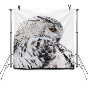 Isolated Black And White Owl Fleece Backdrop