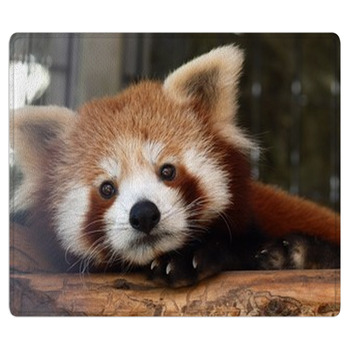 It is staring at the round eyes Bath Mat