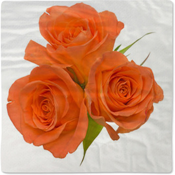 It rose bouquet Baby Blanket