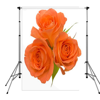 It rose bouquet Pole Pocket Backdrop