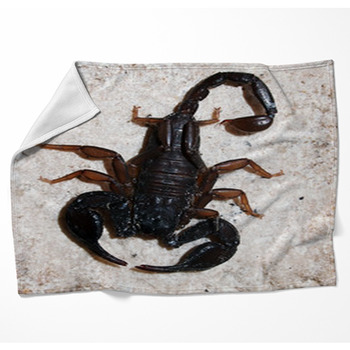Italian Scorpion (Euscorpius Woven Throw Blanket