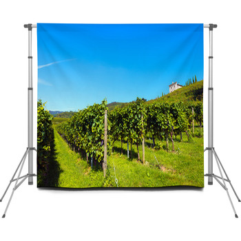 Italian Vineyards - Valpolicella Custom Size Backdrop
