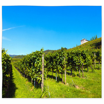 Italian Vineyards - Valpolicella Custom Size Floor Mat