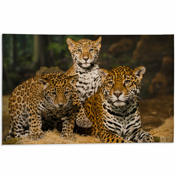 Jaguar Family Area Rug