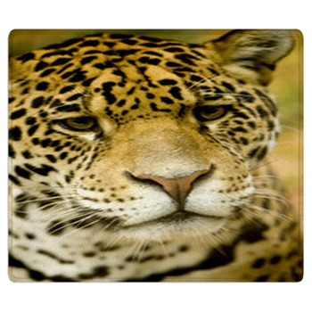 Jaguar - Panthera Onca Bath Mat