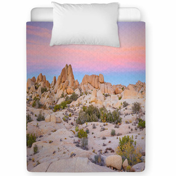 Joshua Tree National Park Toddler Comforter