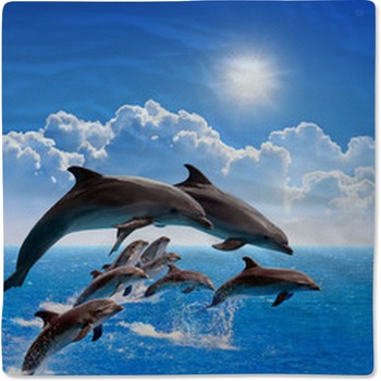 Dolphin Baby Blankets, Toddler Bedding | Personalized