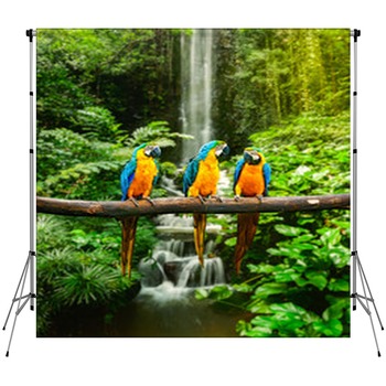 Jungle Backdrops