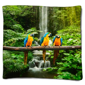 Jungle Blankets