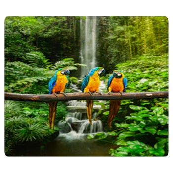 Jungle Rugs