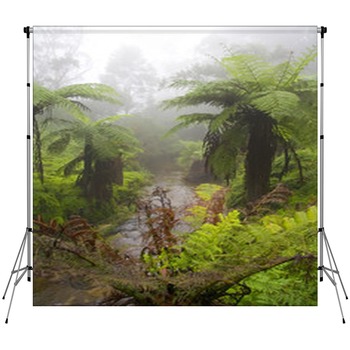 Jyngle In Mist Custom Size Backdrop