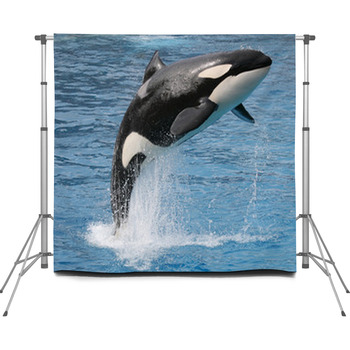 Killer Whale Jump Custom Size Backdrop