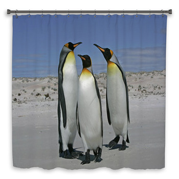 King Penguin, Aptenodytes Custom Size Shower Curtain