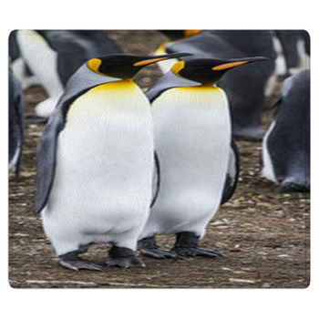King Penguin - Couple Dreaming The Future Bath Mat
