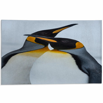 King Penguin Couple In Love Area Rug