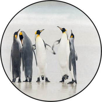King Penguin Round Rug