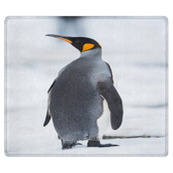 King Penguin, South Georgia, Antarctica Bath Mat