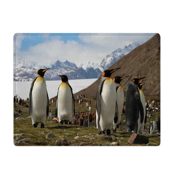King Penguins, Fortuna Bay, South Georgia Bath Mat