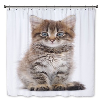 Kitten Bath Decor