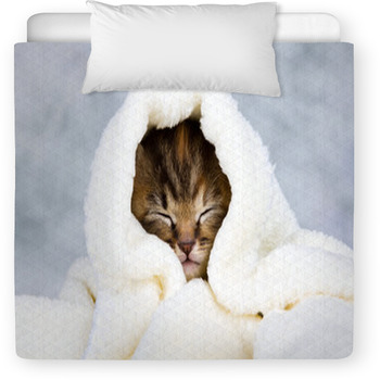 Kitten Closed In Towel Toddler Comforter