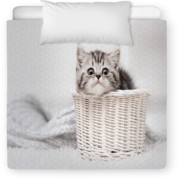 Kitten In A Basket Toddler Duvet