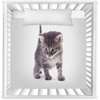 Kitten On A White Background. Baby Crib Comforter