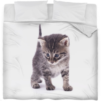 Kitten On A White Background. Fleece Bed Blanket