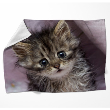 Kitten Woven Throw Blanket