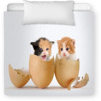 Kittens Toddler Duvet