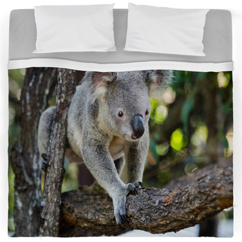 Koala Bedding | Comforters, Duvet Covers, Sheets & Bed Sets | Personalized