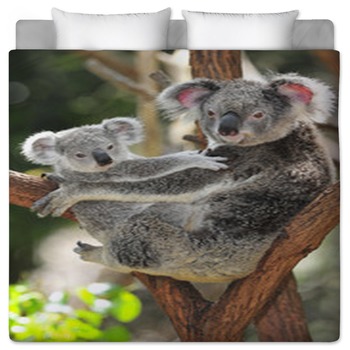 Koala Bedding