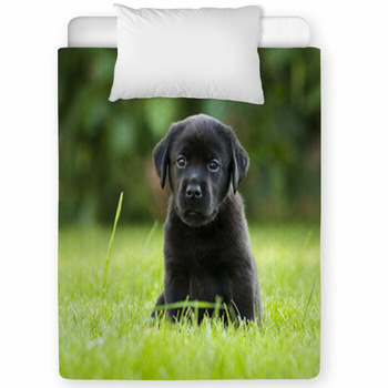 Labrador Puppy Toddler Comforter