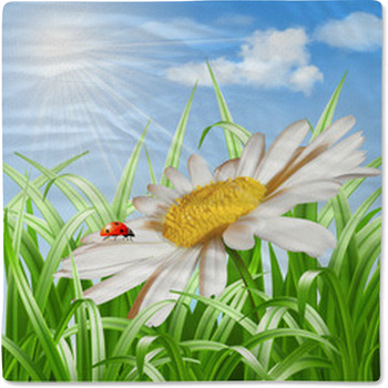 Ladybird On Daisy Flower Vector Baby Blanket