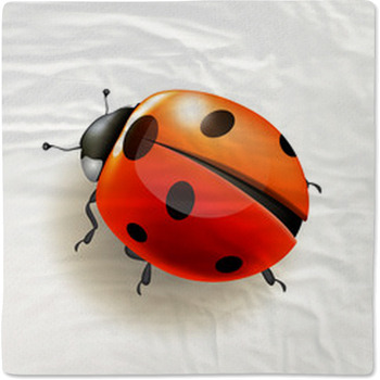 Ladybird. Vector Illustration. Baby Blanket