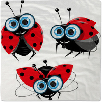 Ladybirds Baby Blanket
