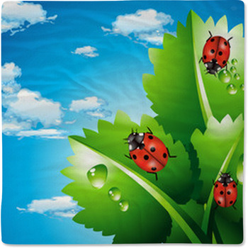 Ladybirds Baby Blanket
