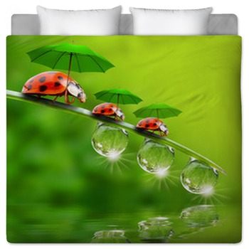 Ladybug Bedding