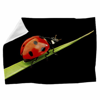Ladybug Isolated On Black Fleece Blanket
