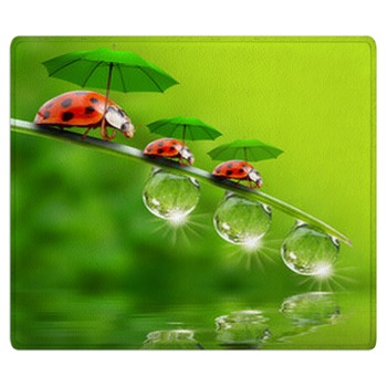 Ladybug Rugs