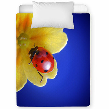 Ladybug Toddler Comforter
