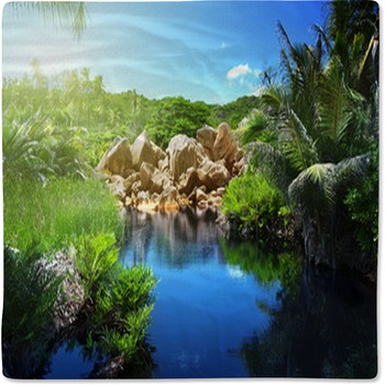 Lake In Jungle Of Seychelles, La Digue Baby Blanket