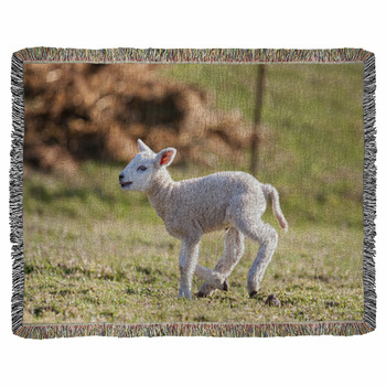 Lamb Woven Throw Blanket