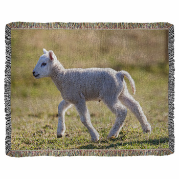 Lamb Woven Throw Blanket