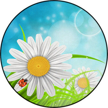 Landscape Round Rug