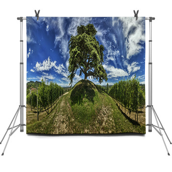 Langhe Fleece Backdrop