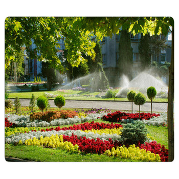 Lawn Watering Sprinkler Area Rug