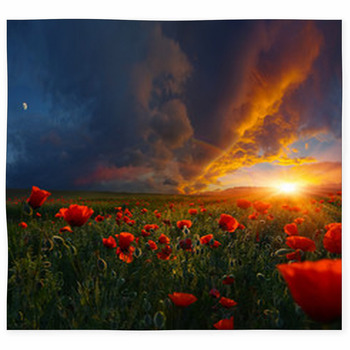 Legends Of Poppy Fields Custom Size Floor Mat